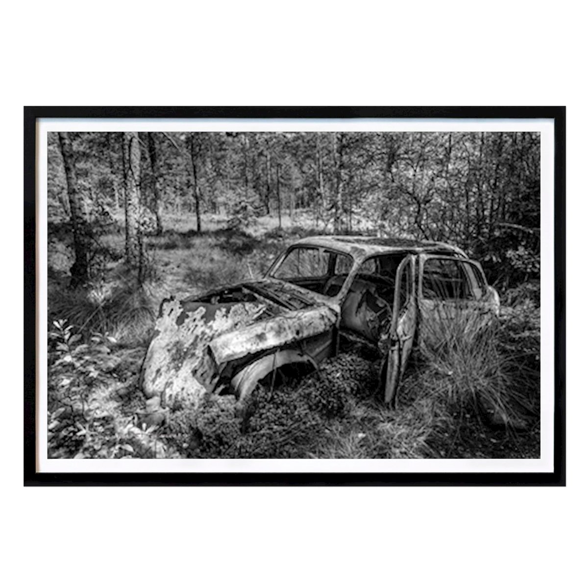 Natur Poster: When nature takes over von Ingmar Holmberg