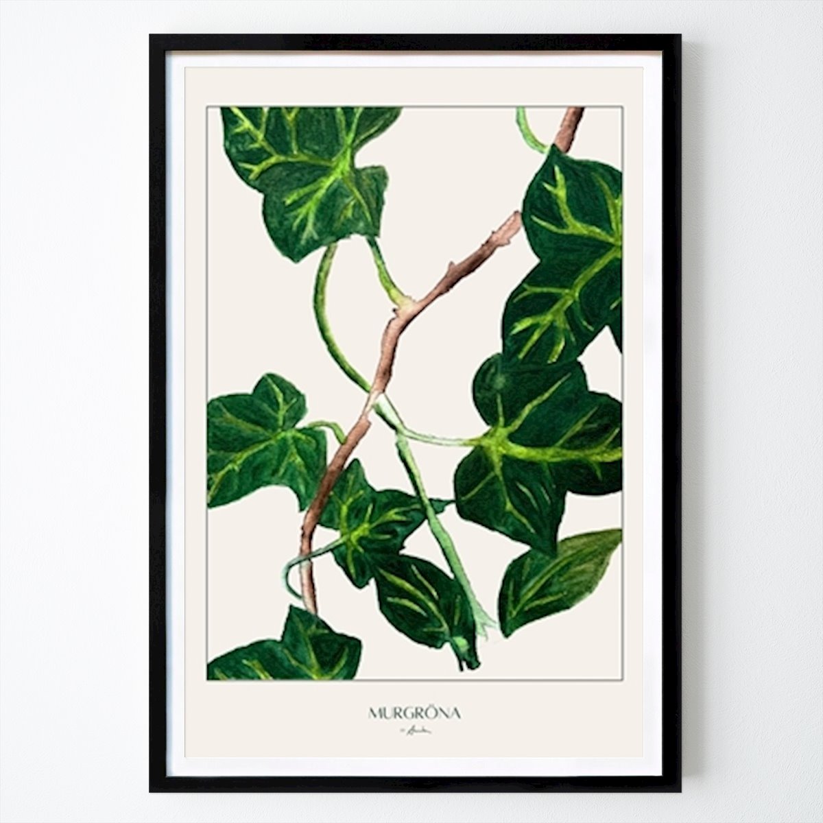 Blumen & Pflanzen Poster: Murgröna von Annika John