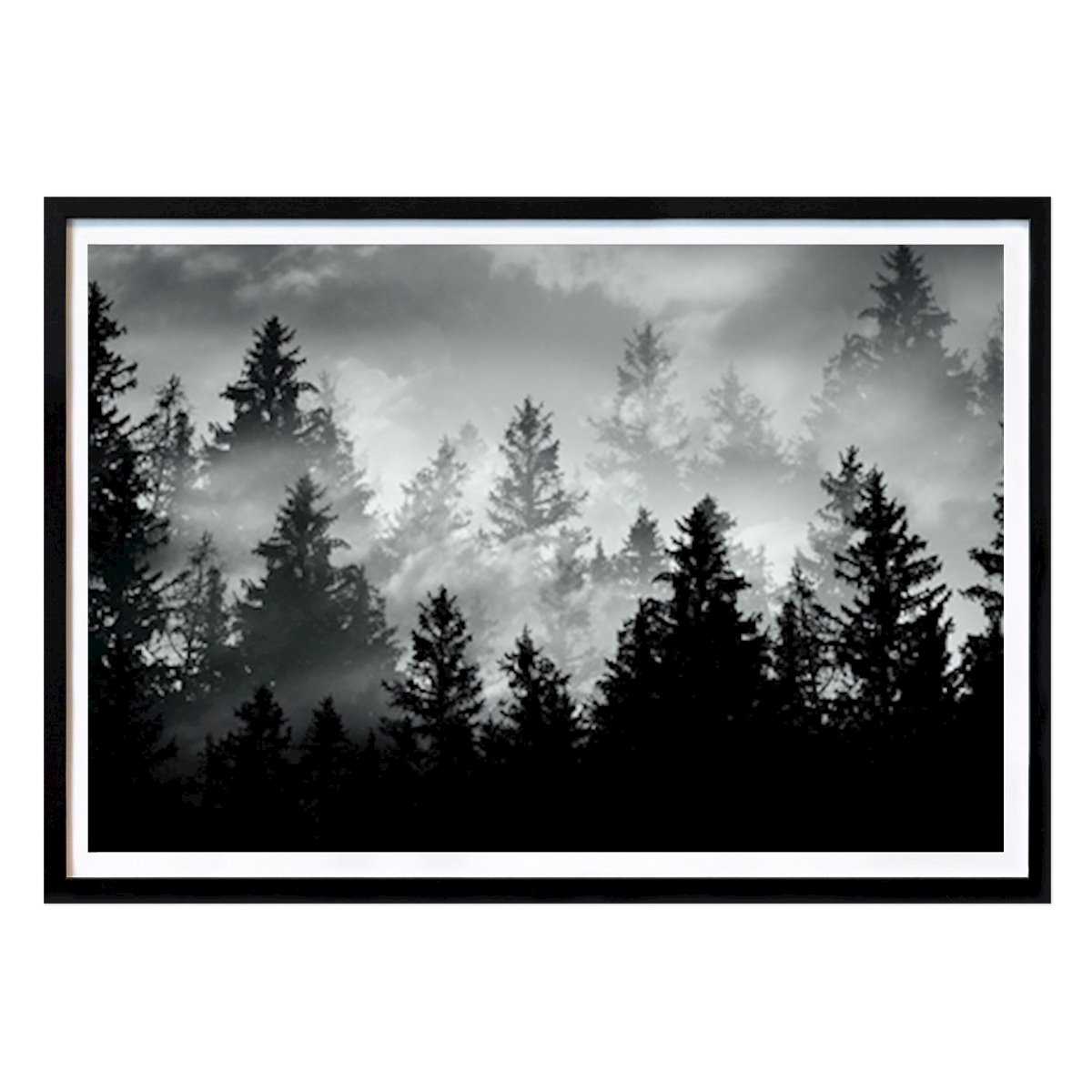 Fekete-fehér Poszter: Black White Forest Dream #2 Anita's & Bella's Art által