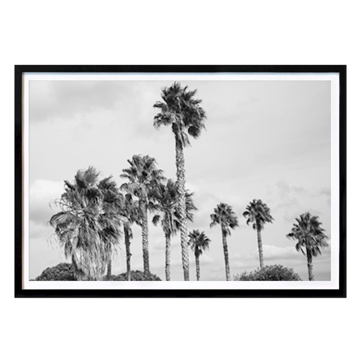 Natur Poster: Algarve Palms #2 #wall #art von Anita's & Bella's Art