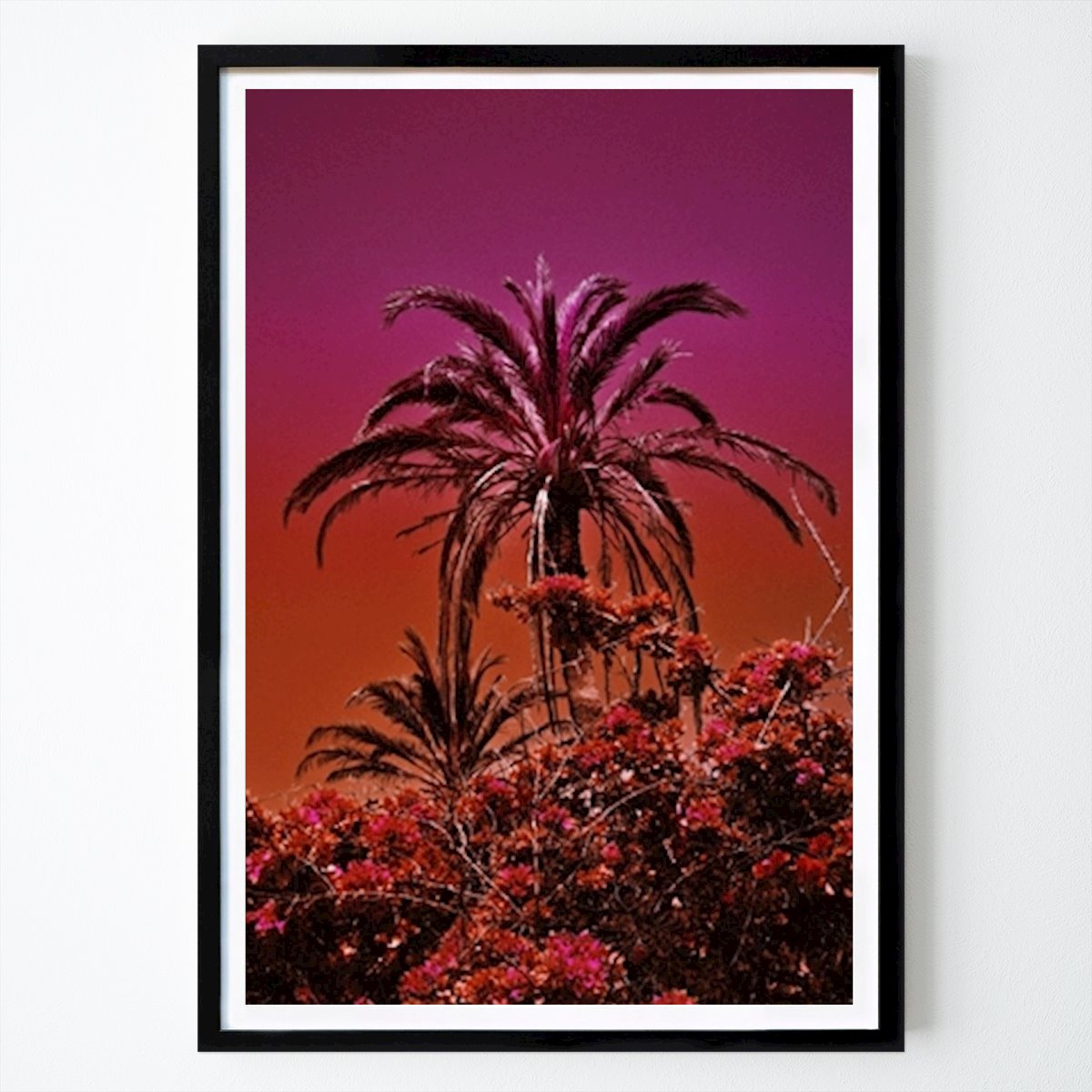 Italy Poster: Pink Palm Tree 'Ellender' by Johanna von Holst