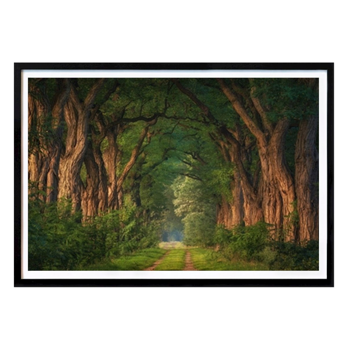 Kitchen Poster: Soft morning light by Yen Do