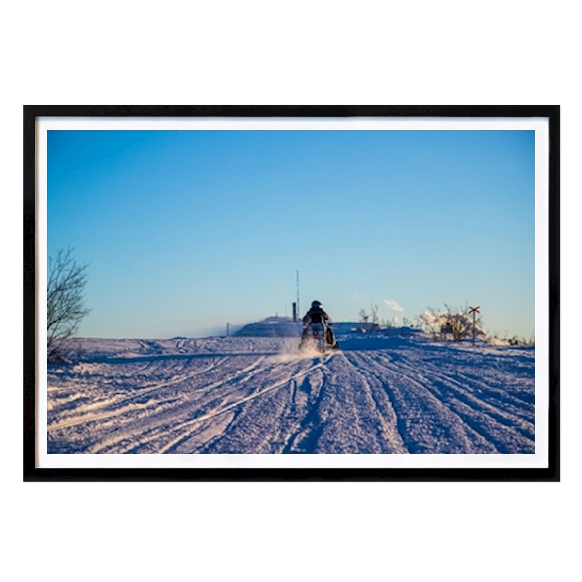 Natur Plakat: Skoter av Jonathan Mettävainio