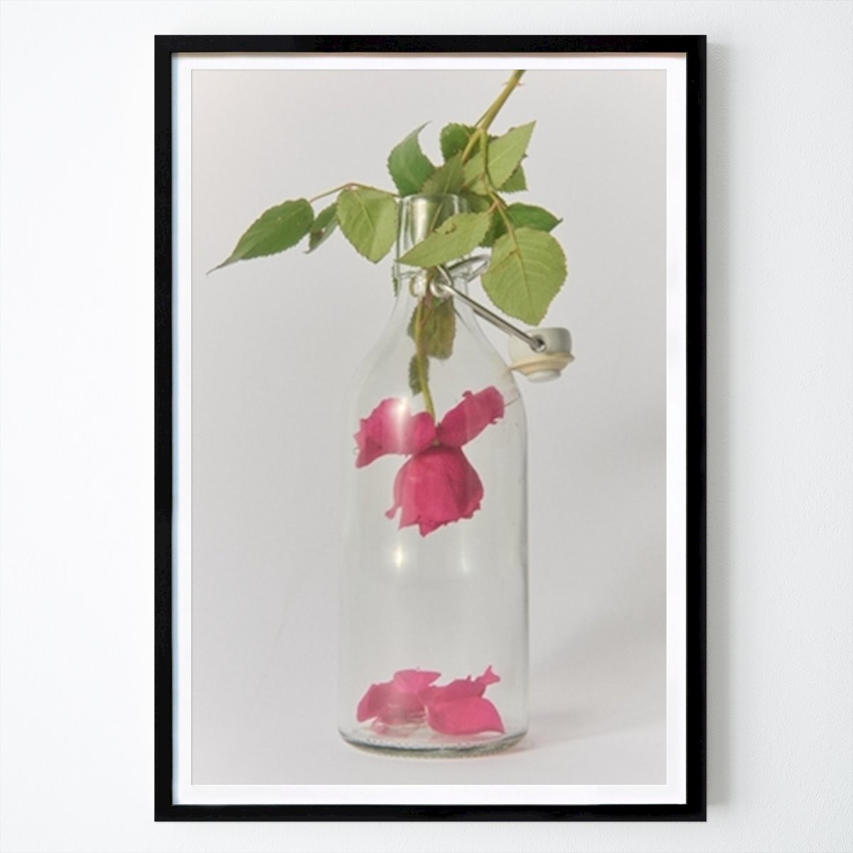 Botanisch Poster: Roze roos in een fles van Tea Gistorp Larsson