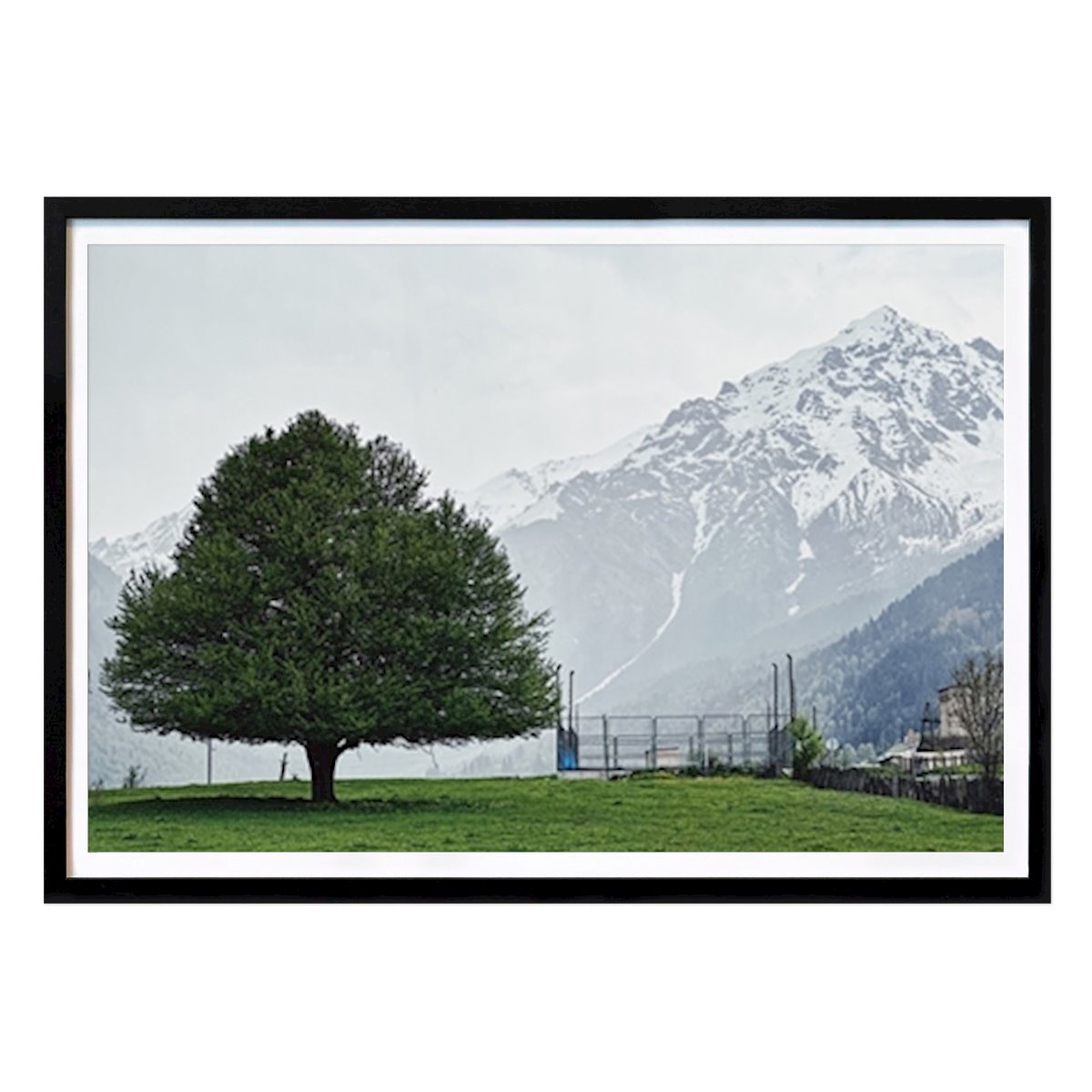 Natureza Poster: Tree and Mountain de NONOMAD
