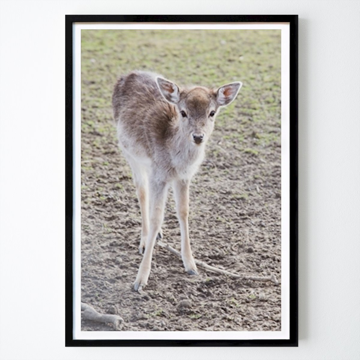 Naturaleza Póster: Fawn Bella #1 #wall #art de Anita's & Bella's Art