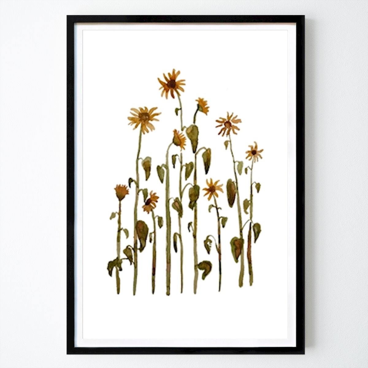 Flores & Plantas Póster: Solrosor de Ateljé Anagram