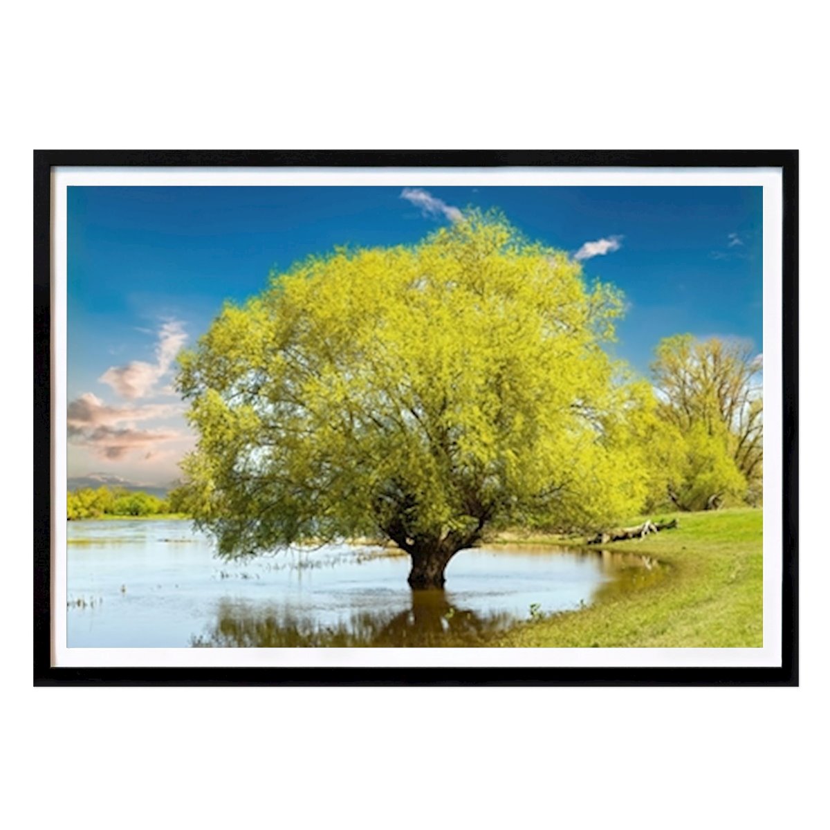 Nature Poster: A tree in the water by Jens-Uwe Ernst