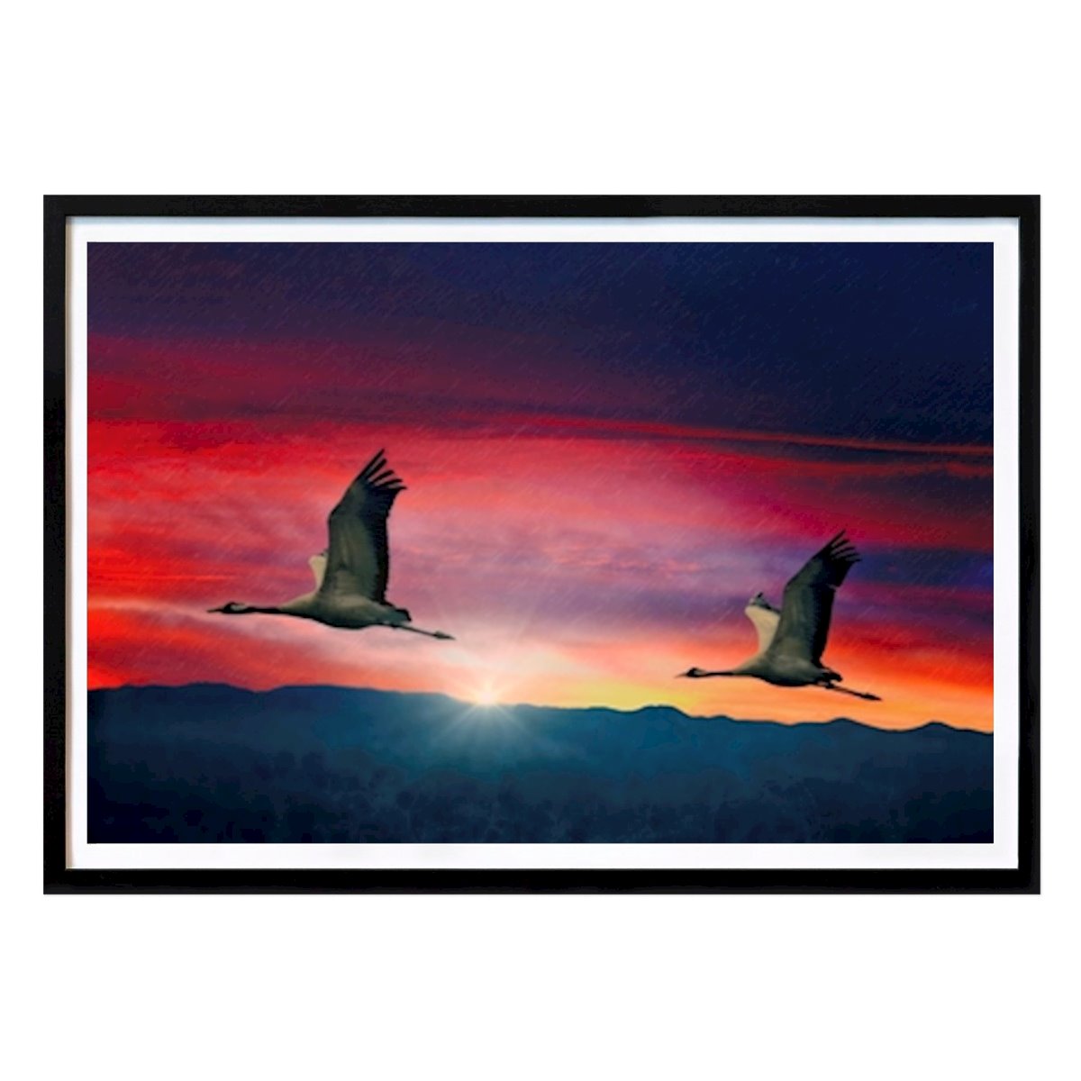 Animale Poster: Two flying birds. di Karl Andrén