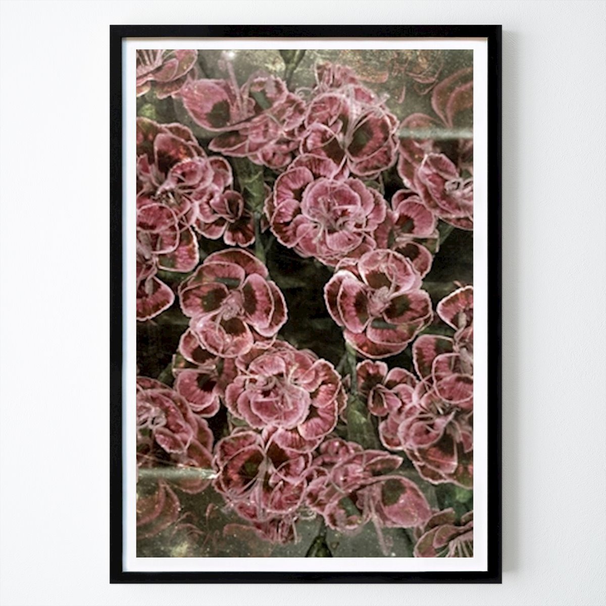 Botanisk Poster: Rosa och drömska nejlikor av The Fleurs