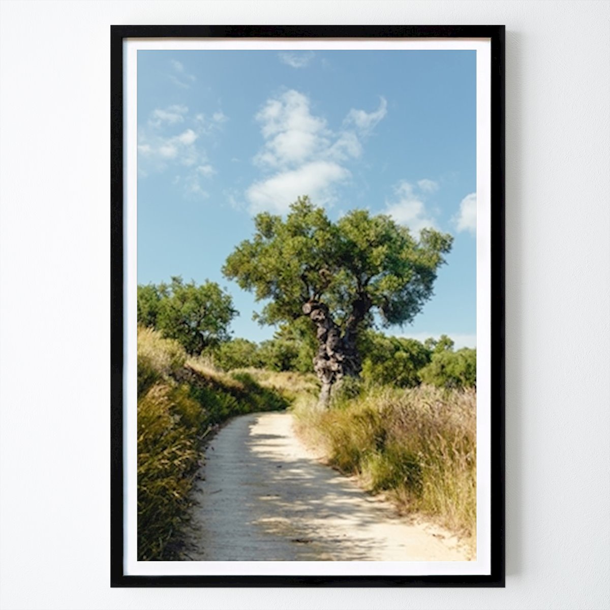Nature Poster: Old Olive Tree by Sofia Mustaniemi