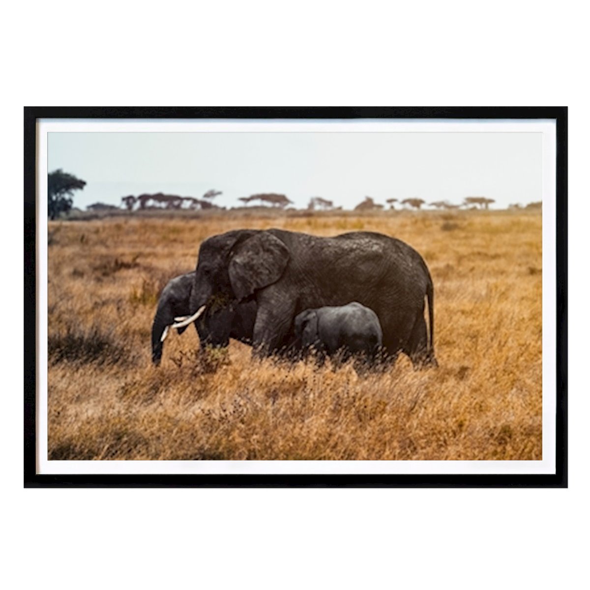 Places & Cities Poster: Elephant Family in Serengeti by Aviv Perets
