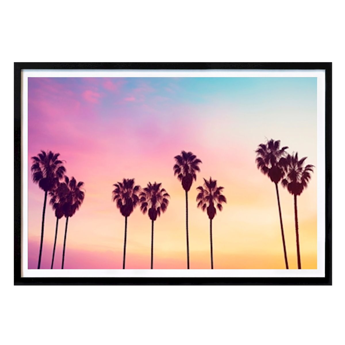 Botaniske Plakat: Rodeo Drive palmer av Philippe HUGONNARD