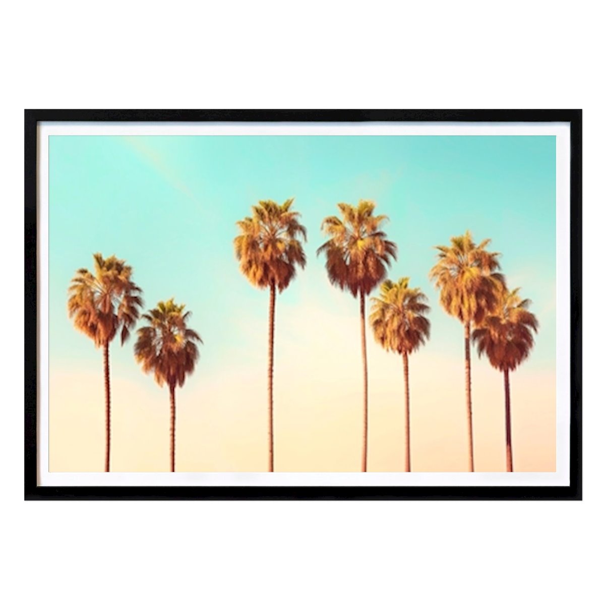 Natur Poster: Hollywood palmer av Philippe HUGONNARD