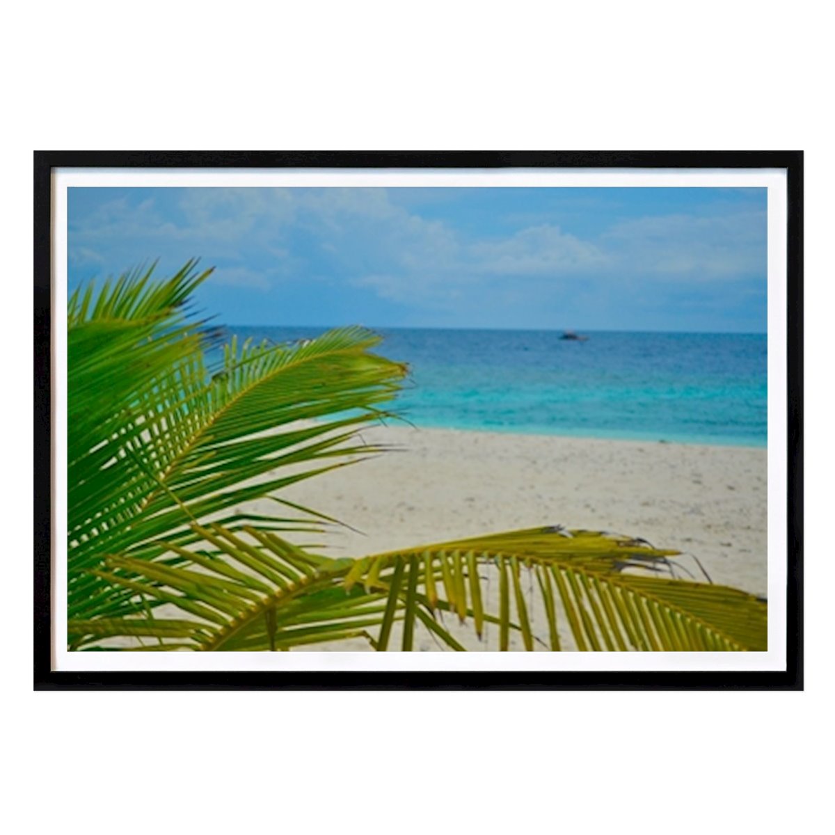 Příroda Plakát: Palma s pohledem na moře od Traveling_With_Camera