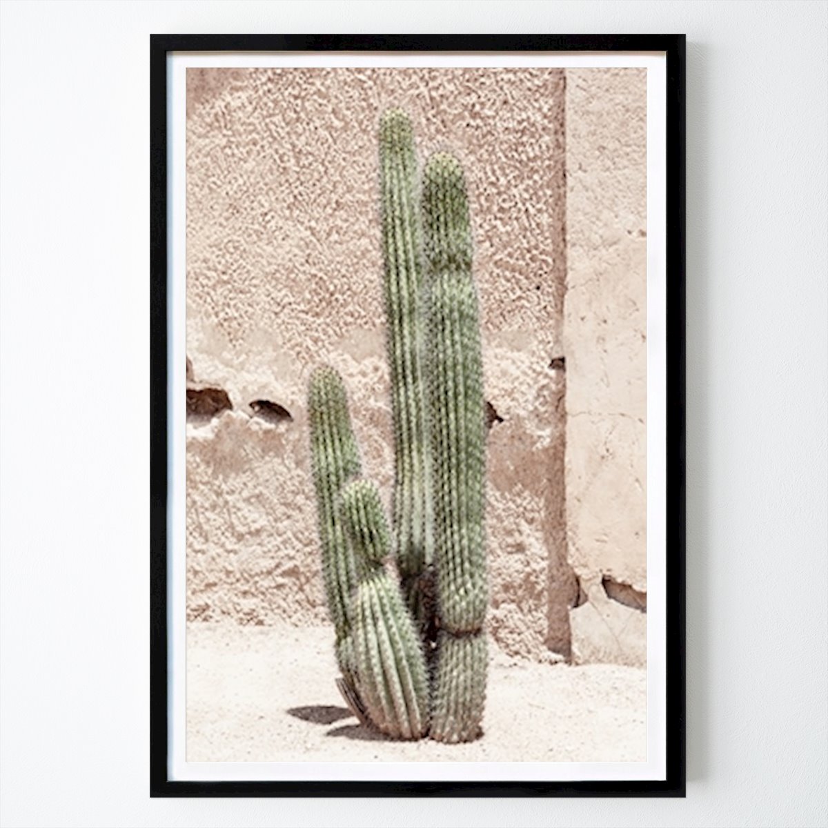 Virágok & Növények Poszter: Cactus Terracotta Wall Philippe HUGONNARD által