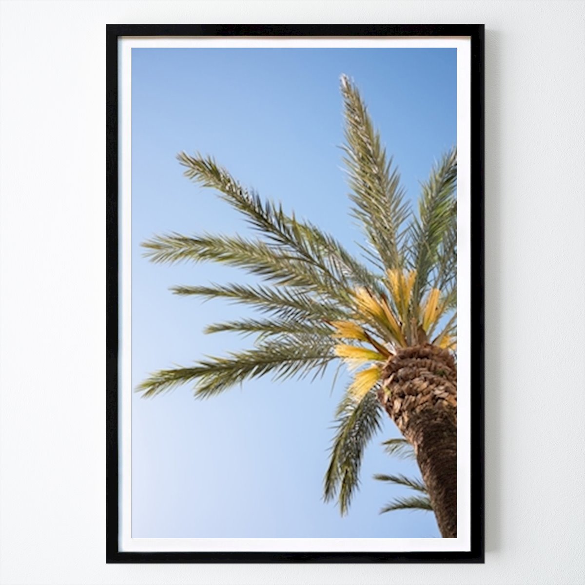 Nature Poster: The Colorful Palm Tree by Raisa Zwart