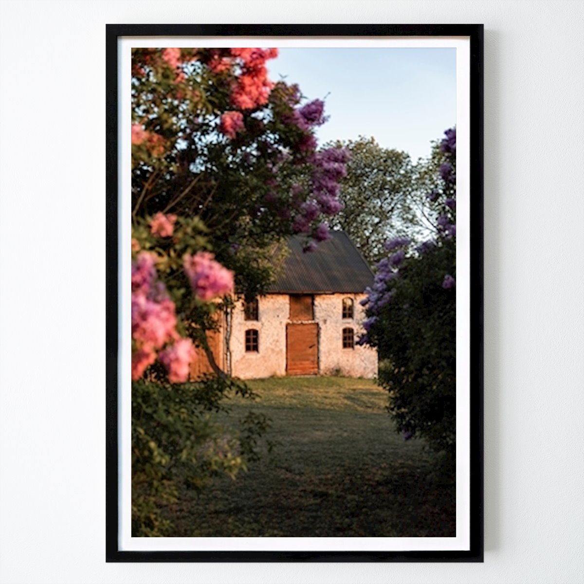 Gotland Natur Poster: Syrener på Gotland av Ellen Alderheim