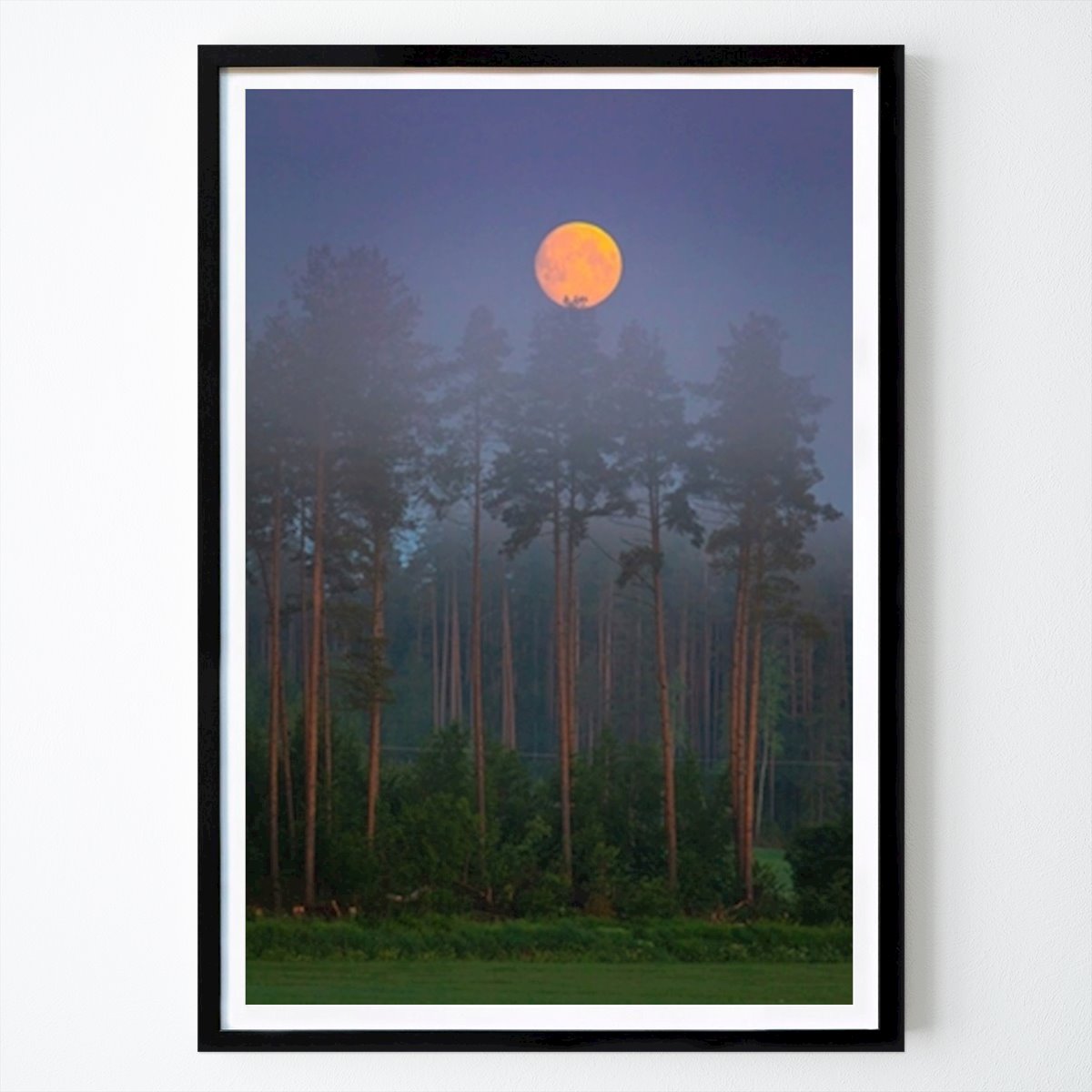 Luonto Juliste: Setting moon over the forest tekijänä Jukka Risikko