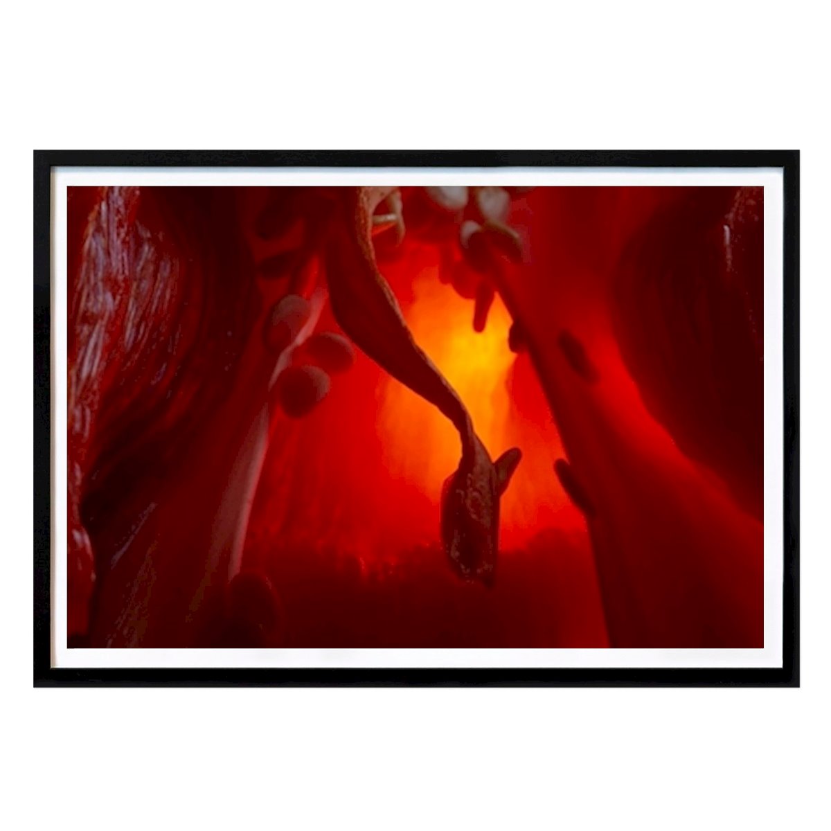 Kitchen Poster: Paprika by Mikael Korsback