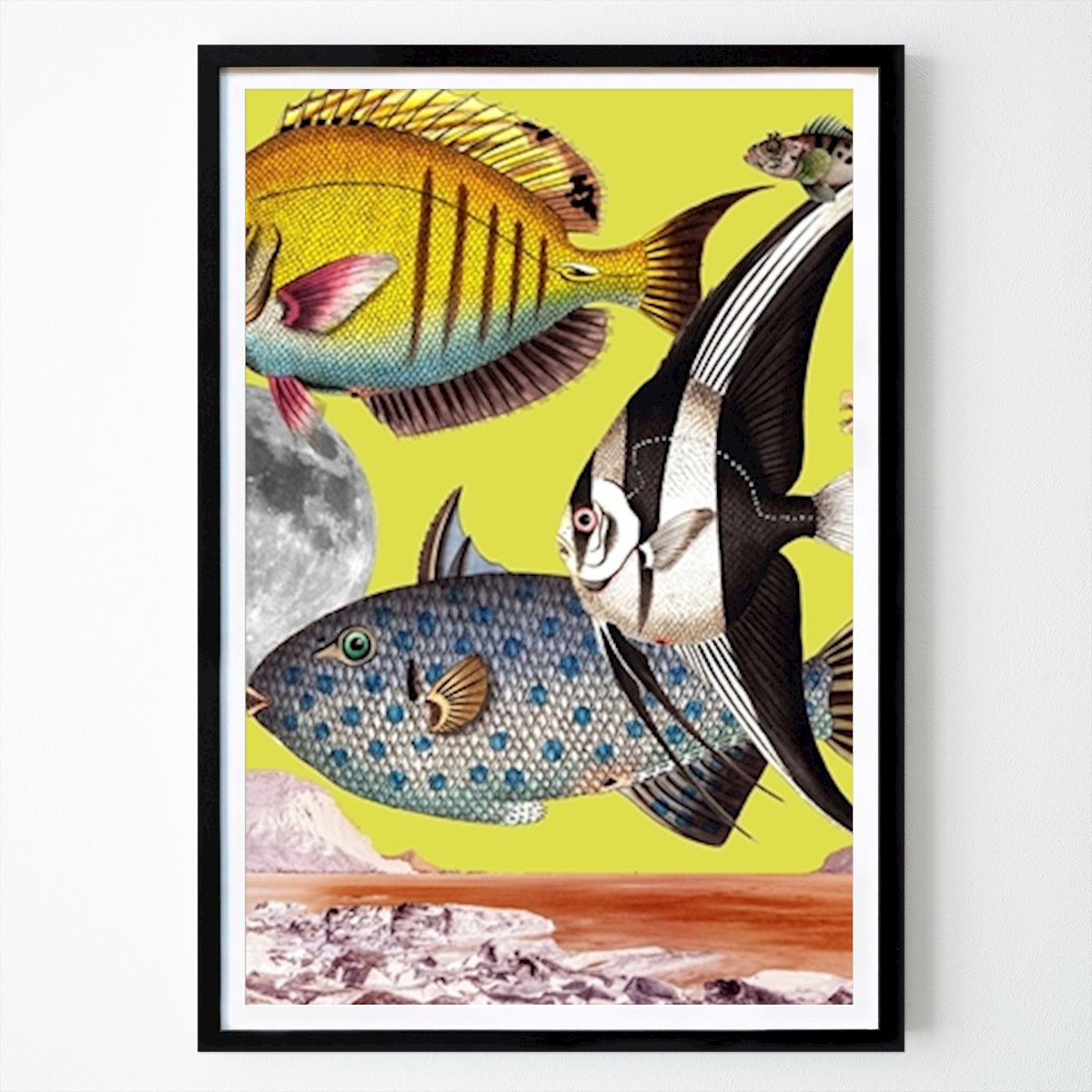 Retro & Vintage Póster: Collage surrealista de Fish World de Susana Costa
