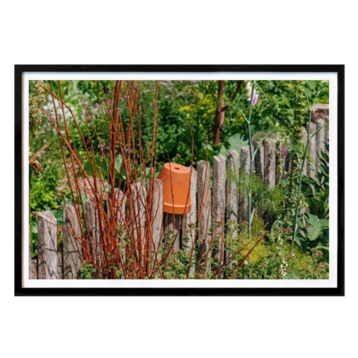 Nature Poster: Wooden fence in a garden by Stephan Sühling