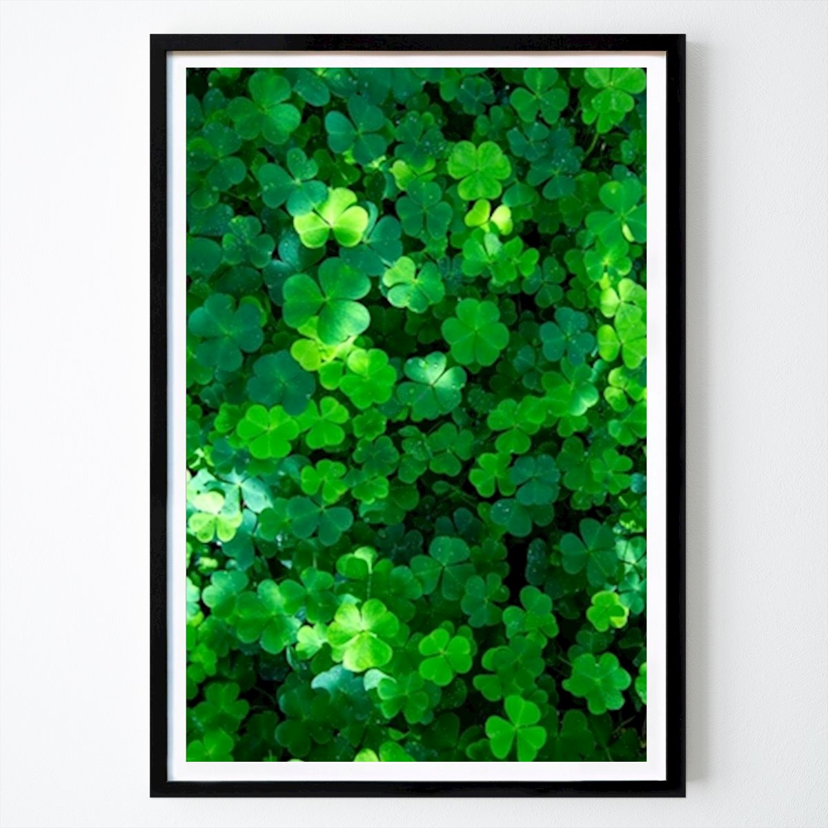 Natur Poster: Der grüne Klee des Waldes von Julia Billing