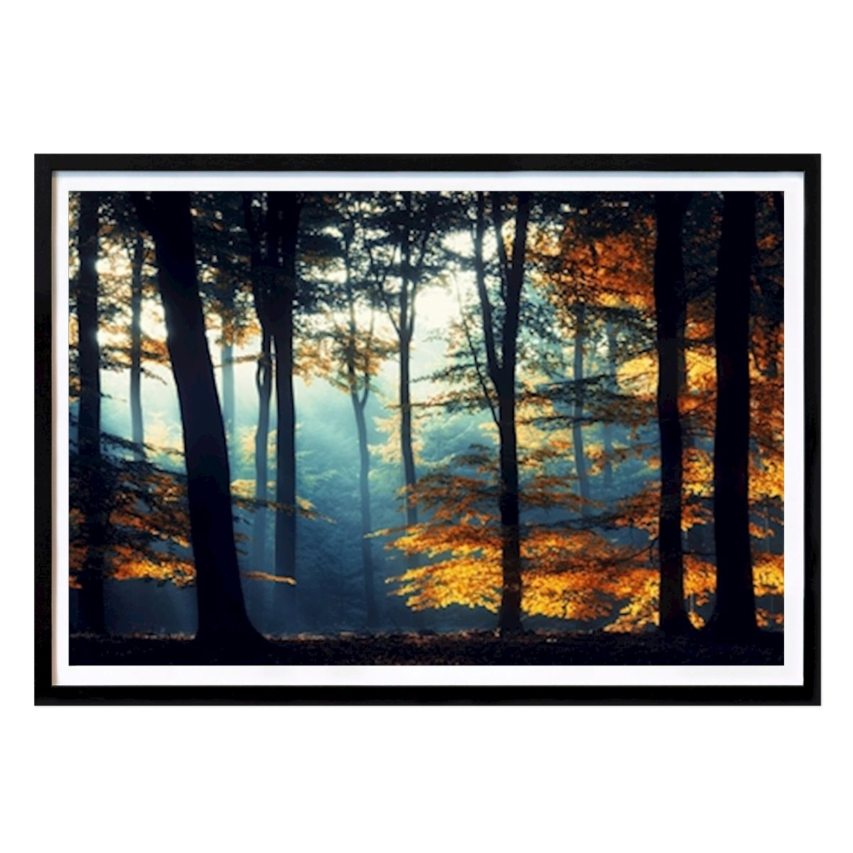 Botanical Poster: Hot and cold by Yen Do