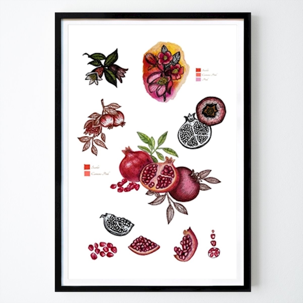 Kwiaty & Rośliny Plakat: Botanical Pomegranate autorstwa Magu Art