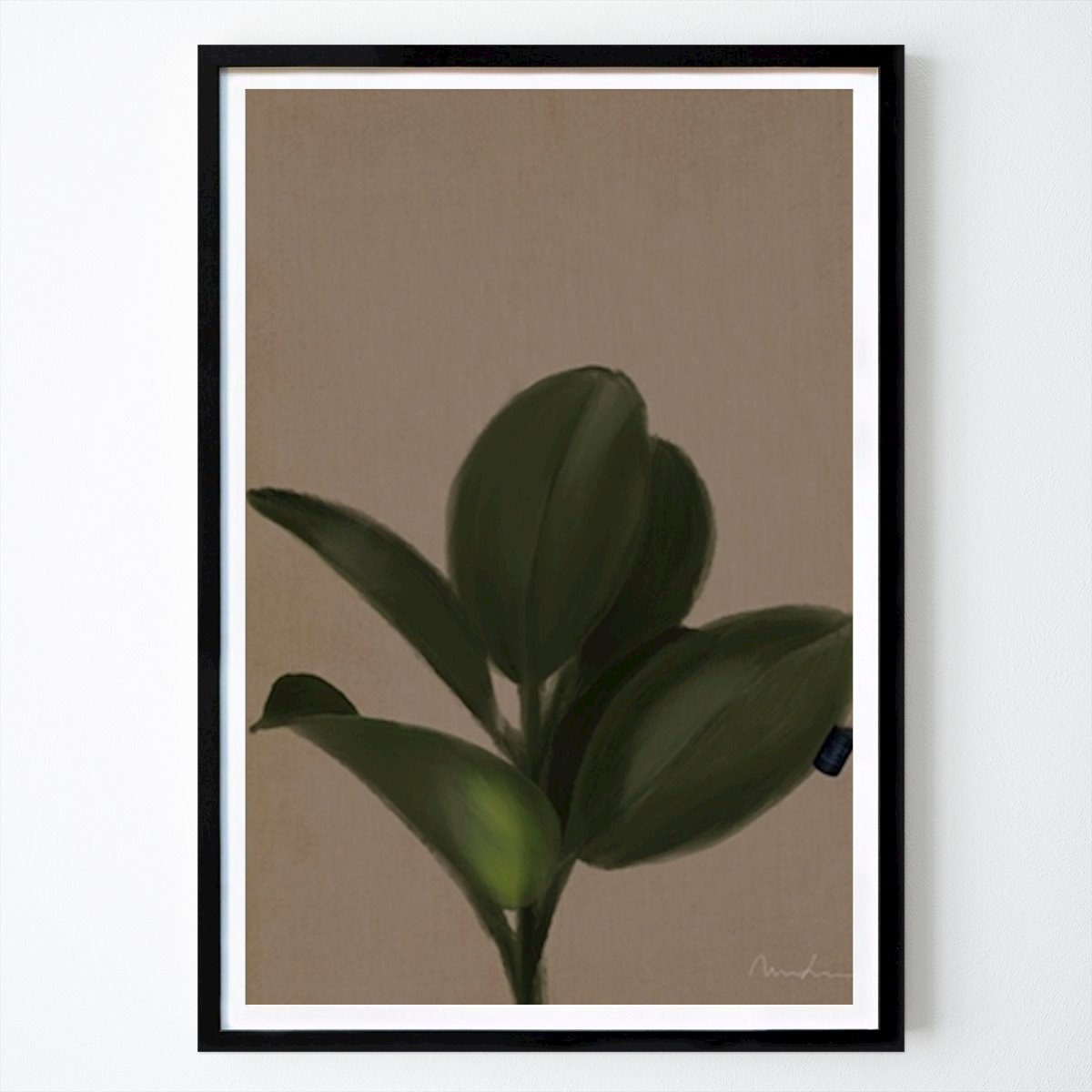 Botanical Poster: Robusta by Maria Lundsten