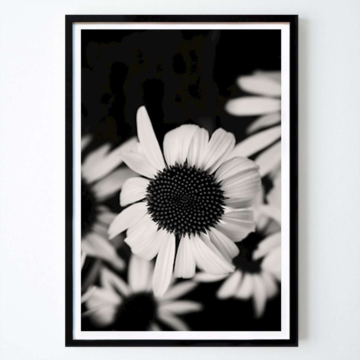 Noir et Blanc Affiche: Un chapeau de soleil blanc en point de mire par Sandra Li