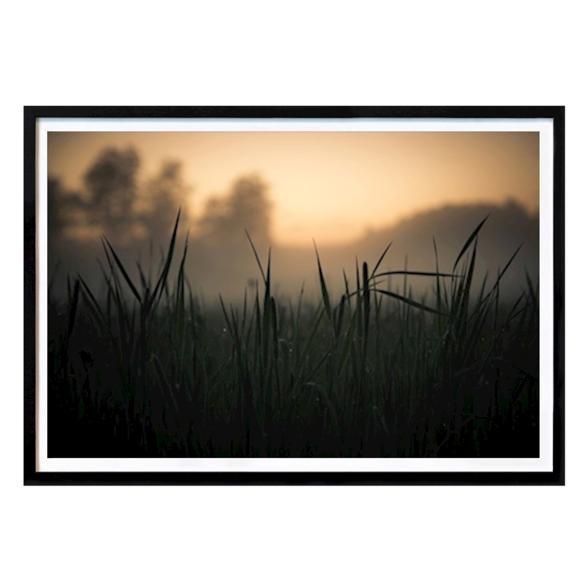 Nature Poster: Night is coming by Sophie Åkerlund