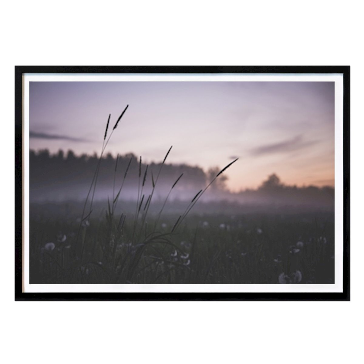 Nature Poster: Enchanted summernight by Sophie Åkerlund