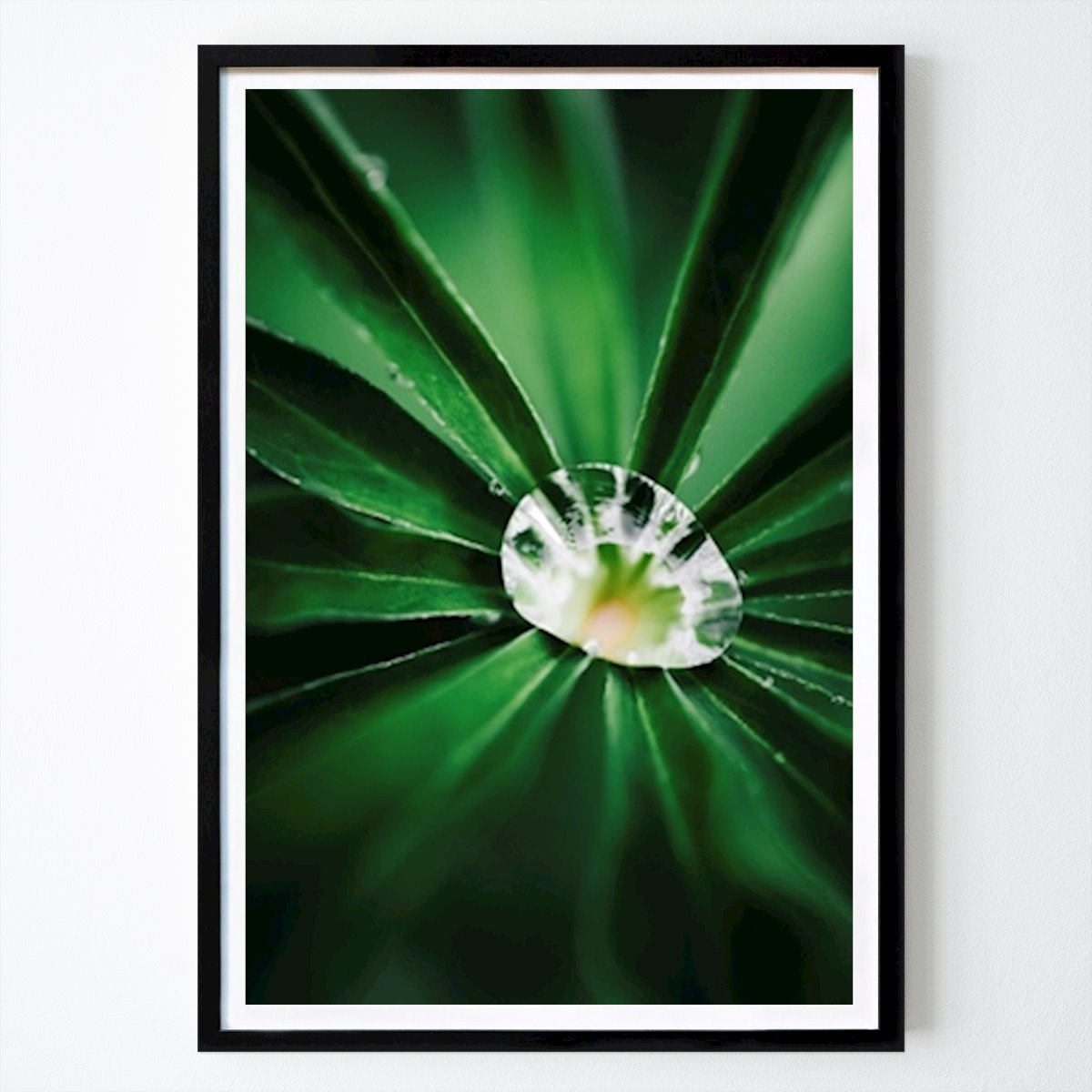 Flores & Plantas Póster: Joya de la naturaleza de Pheonix
