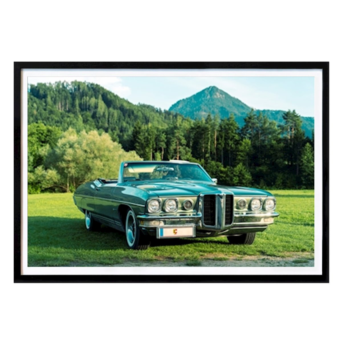 Przyroda Plakat: Pontiac autorstwa Stephan Zaun