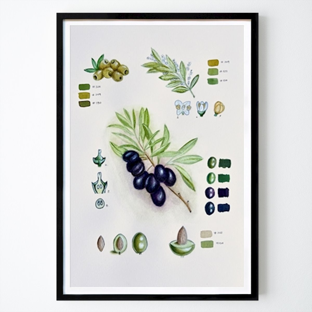 Retro & Vintage Poster: Vintage Botanical Olive by Magu Art