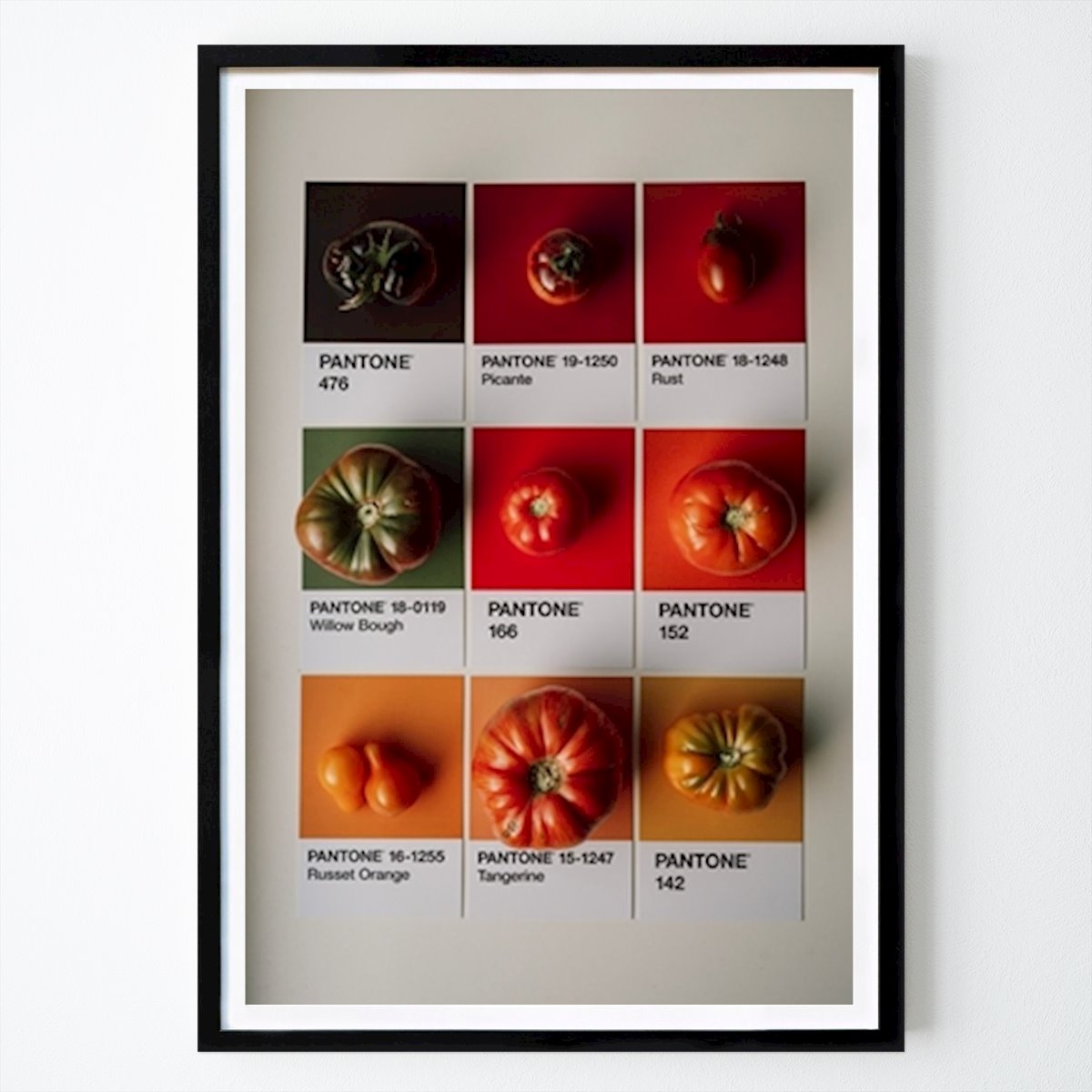 Kitchen Poster: Pantone Tomatoes Vol. 2 by Carla Hauptmann