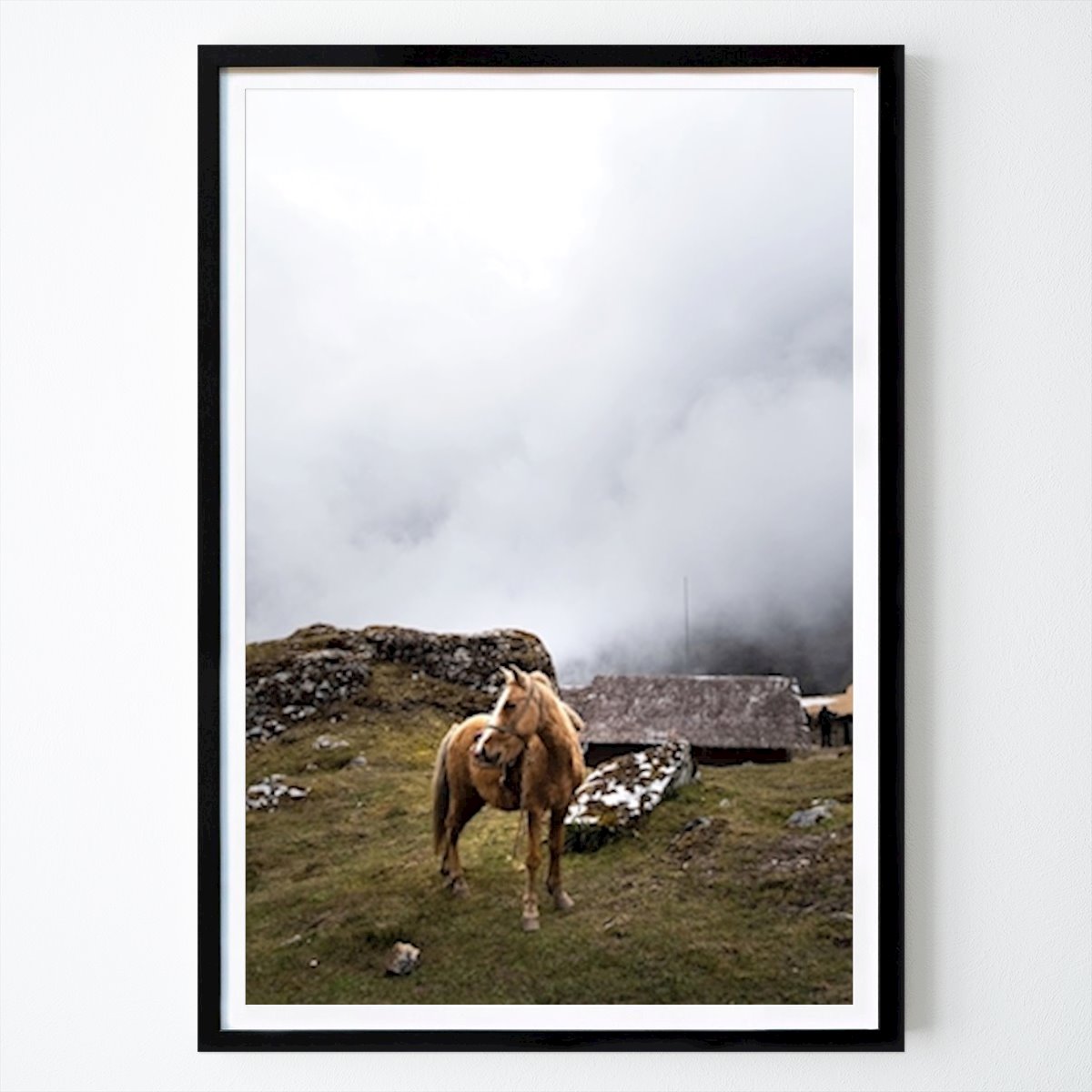 Dyr Plakat: Hest av Daniel Alloh