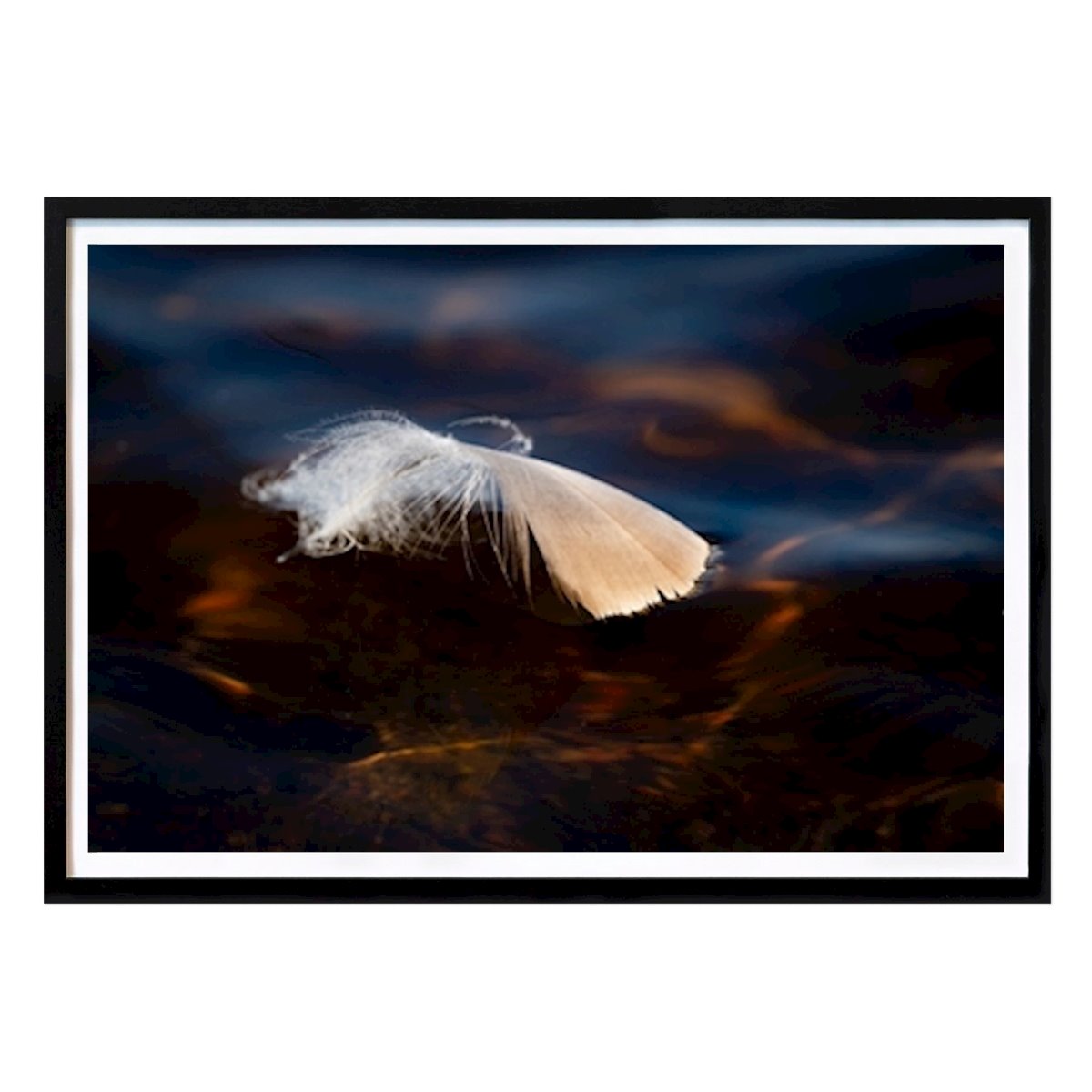 Cuisines Affiche: Plume sur l’eau par Joakim Stolt