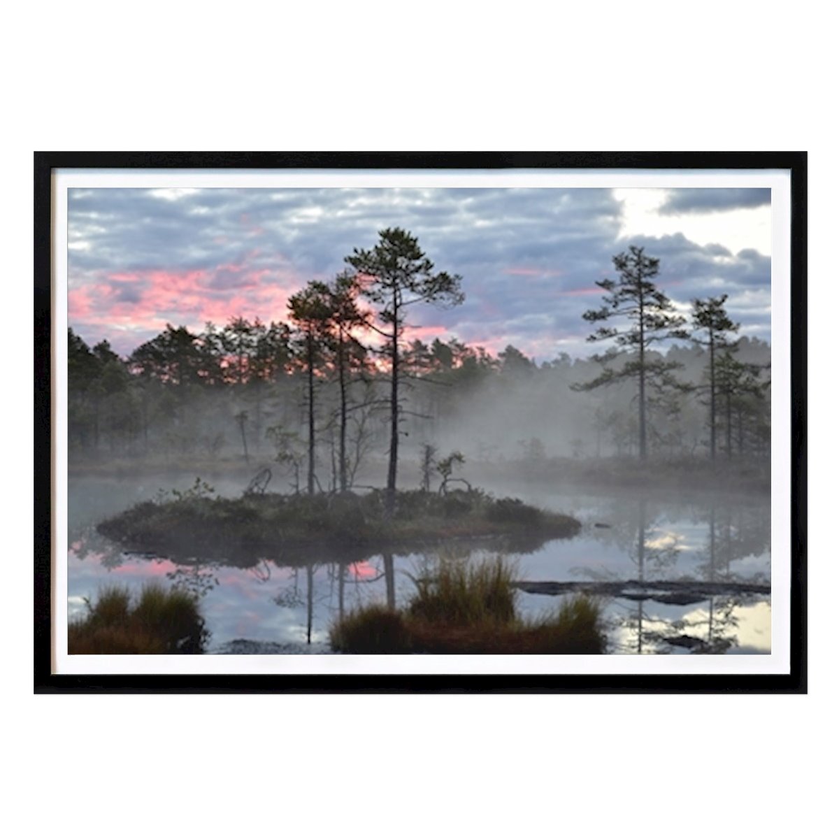 Naturaleza Póster: Sunrise over the bog de Åse Ording Reinisch/DMA Photographic