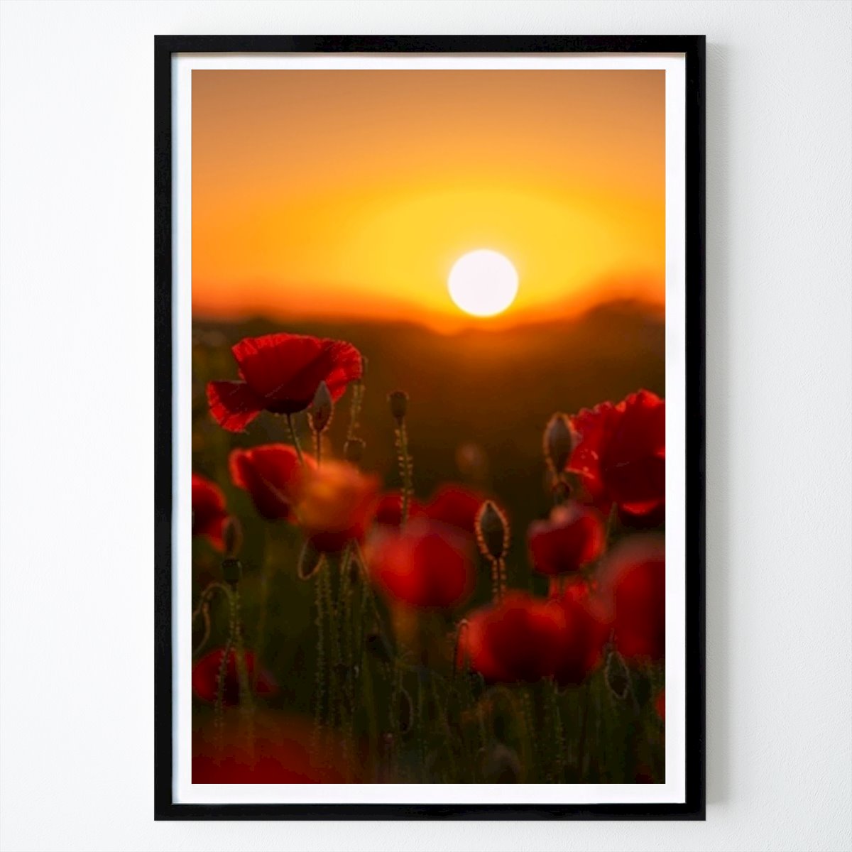 Nature Poster: Summer sunset by Susanne Buchholdt Seldrup