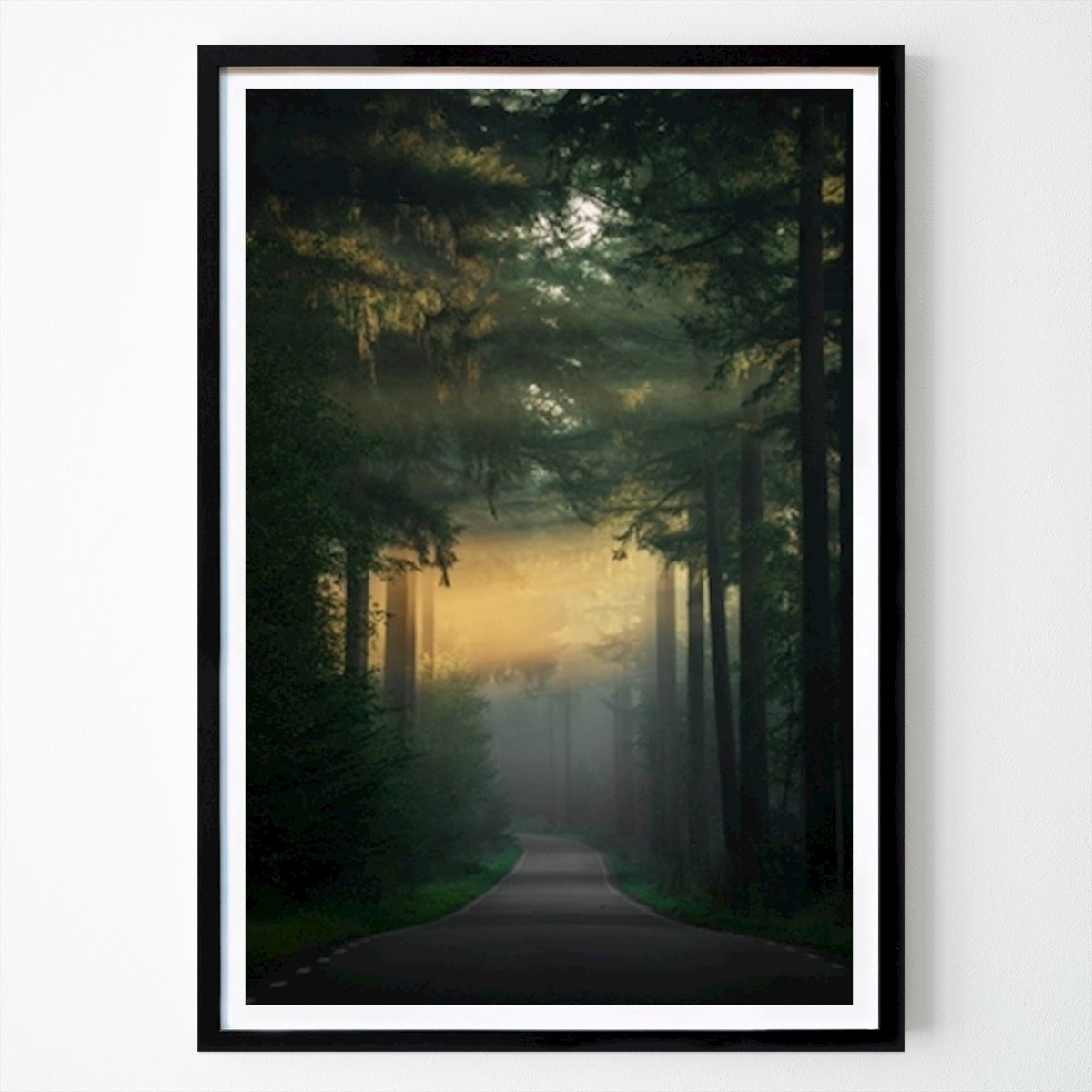 Natur Poster: Sun Harps im Speulderbos von Rob Sprenger