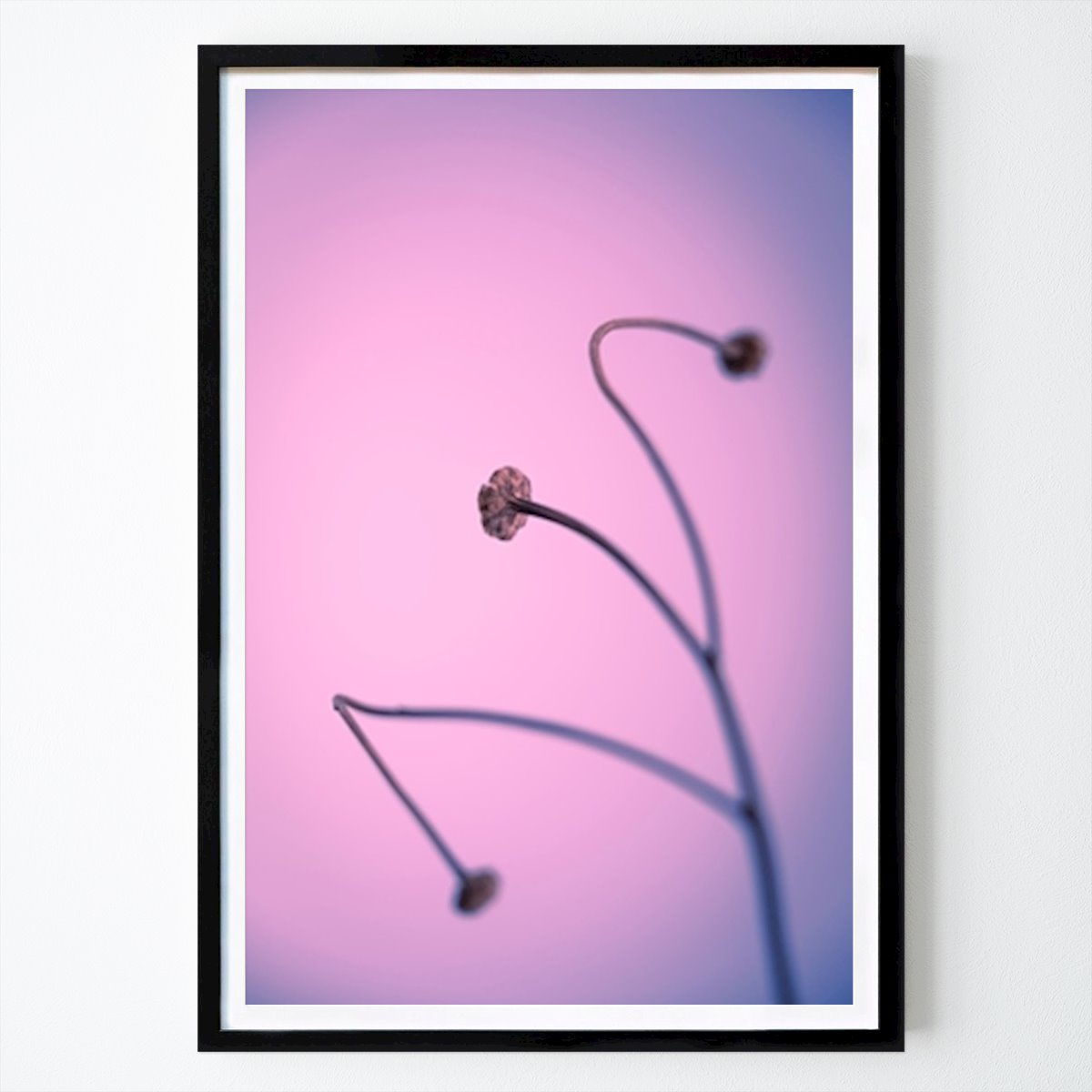 Fiori & Piante Poster: Alla luce dell'attualità VI di Tal Paz-Fridman