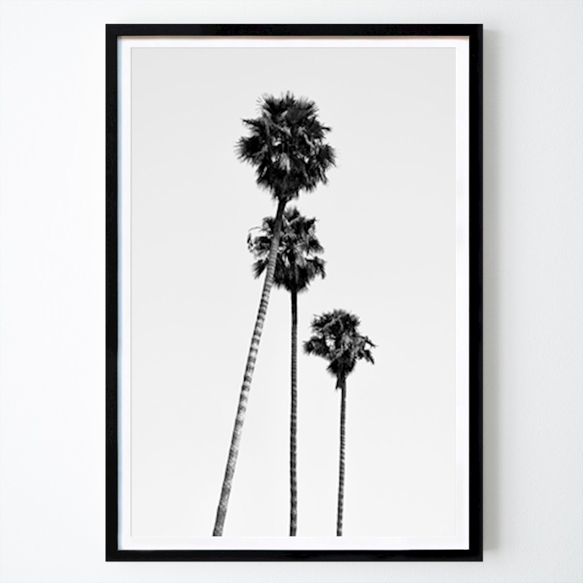 Svartvit Poster: Hollywood palmer av Philippe HUGONNARD