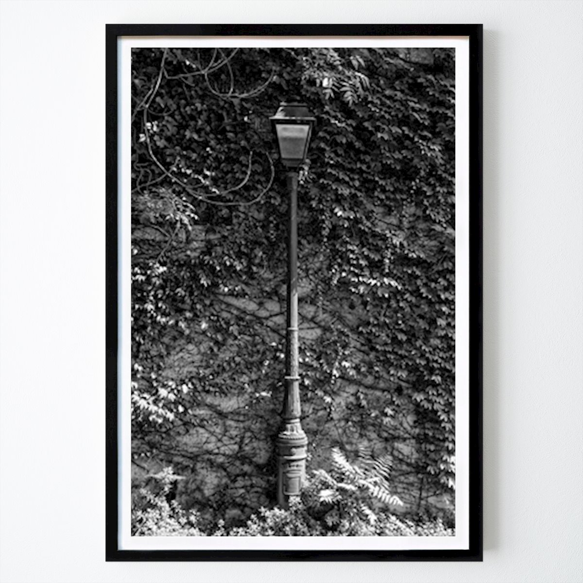 Bianco e nero Poster: Lampione solitario di Philippe HUGONNARD