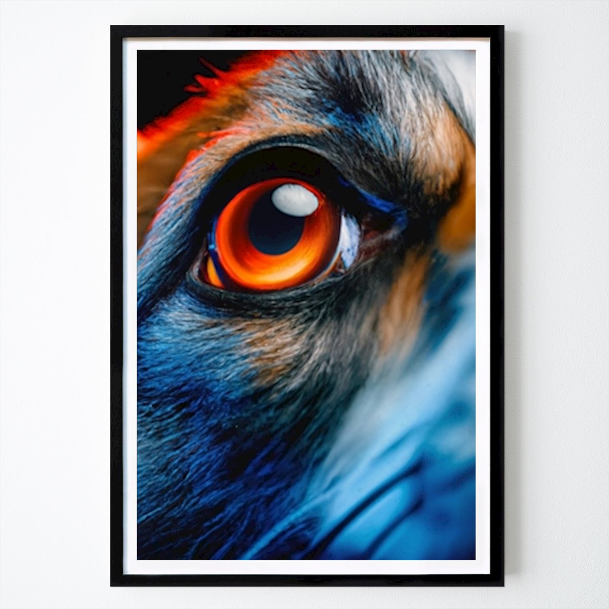 Animals Poster: Corgi Eye by Gila Imagines