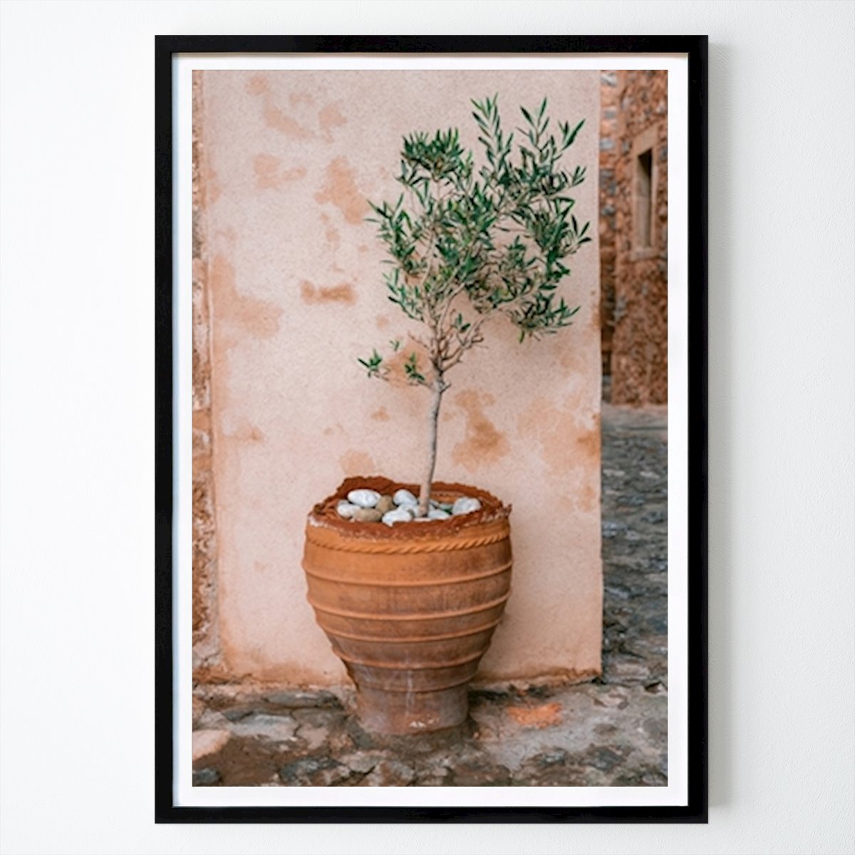 Botanical Poster: Olive tree Greece by HelloHappylife