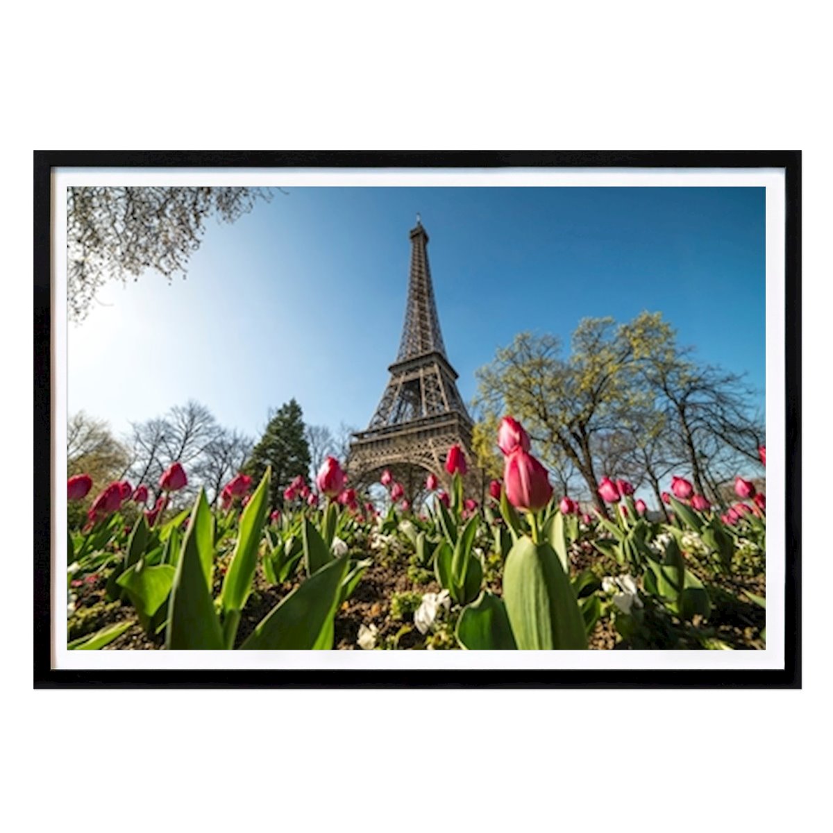 Botanisk Poster: Eiffel Tower Paris av Peter Schickert