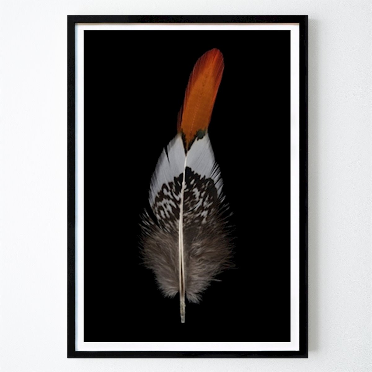 Animal Affiche: Plume par Ylva Wikström