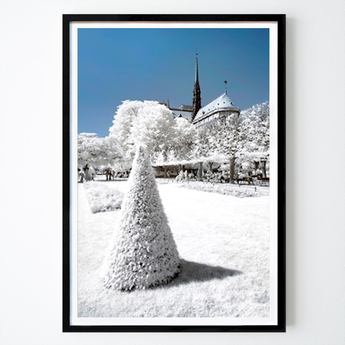 Nature Poster: Winter of Notre Dame by Philippe HUGONNARD